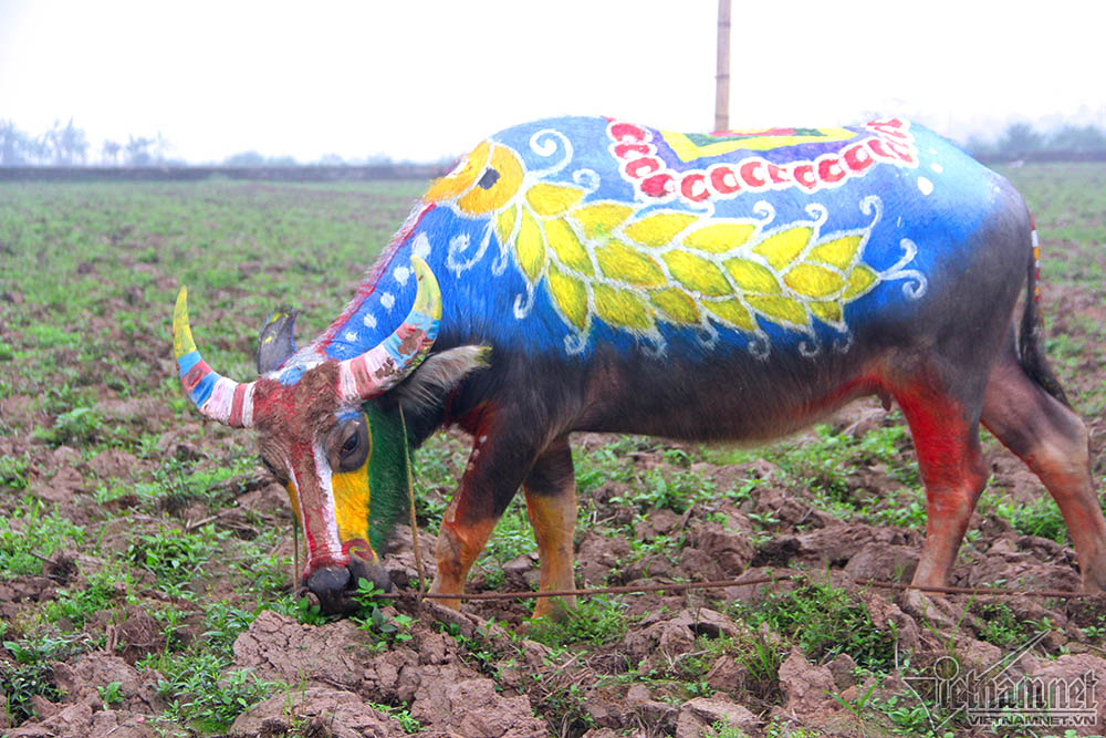 Vua 90 tuổi đi cày đầu năm ở lễ Tịch điền